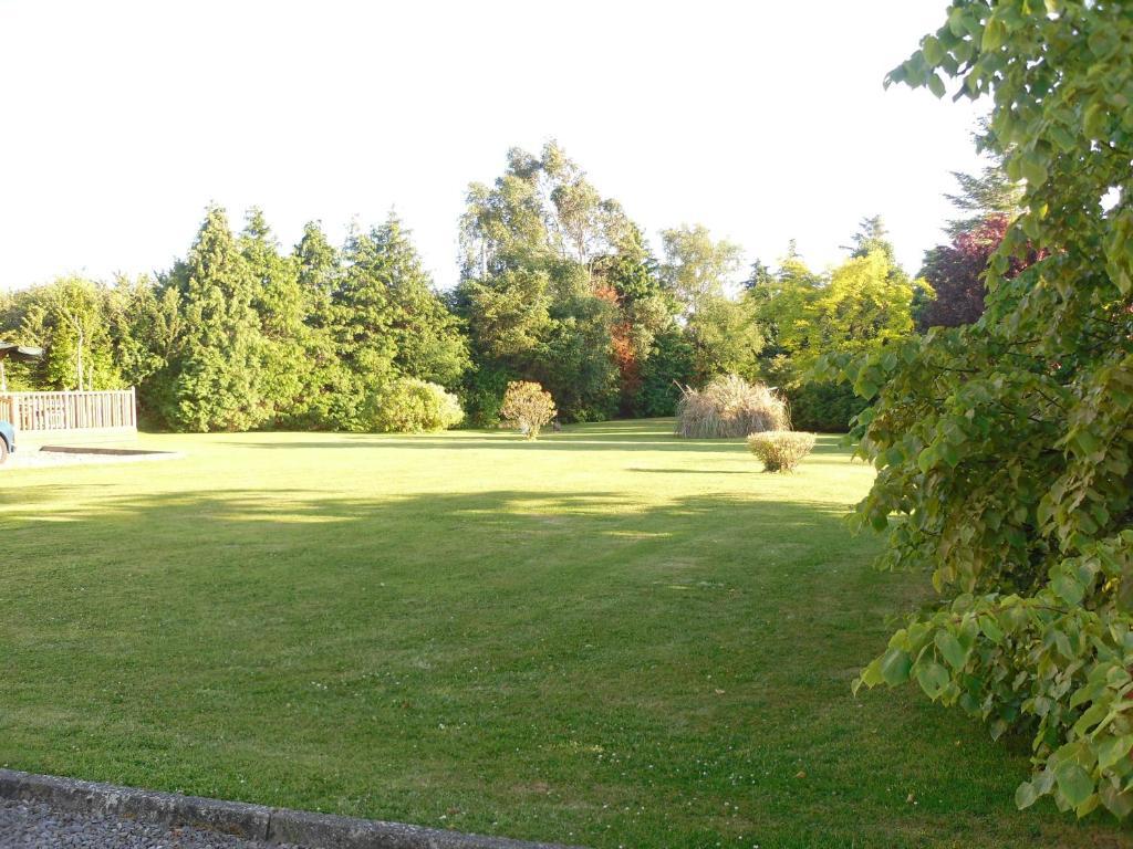 Fern Rock Bed And Breakfast Dromin Buitenkant foto