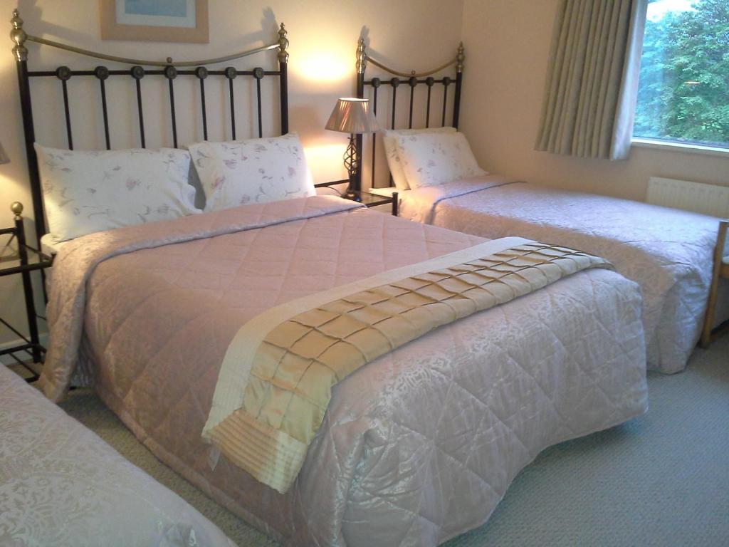 Fern Rock Bed And Breakfast Dromin Kamer foto