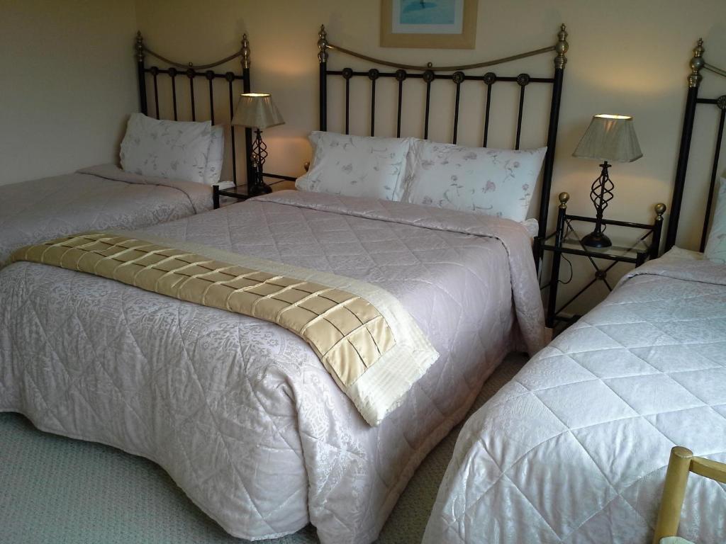Fern Rock Bed And Breakfast Dromin Kamer foto