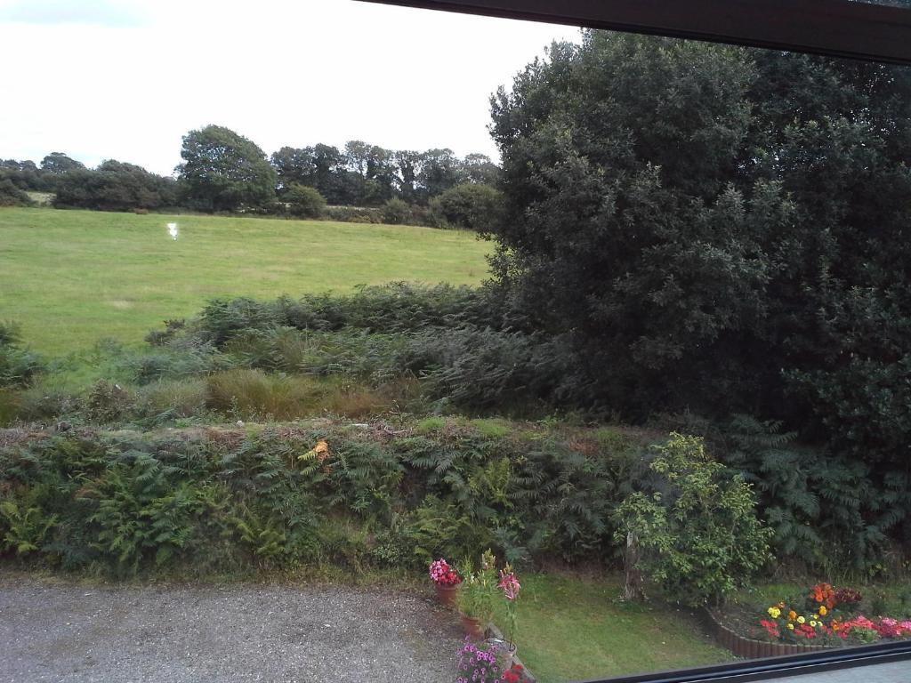 Fern Rock Bed And Breakfast Dromin Kamer foto