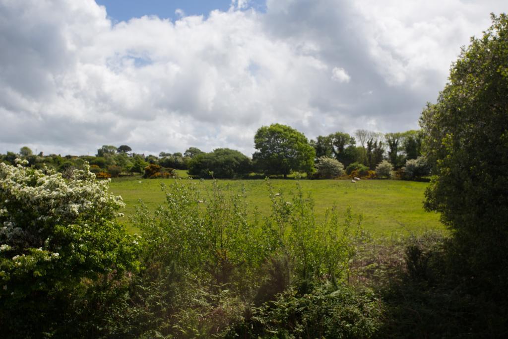 Fern Rock Bed And Breakfast Dromin Buitenkant foto