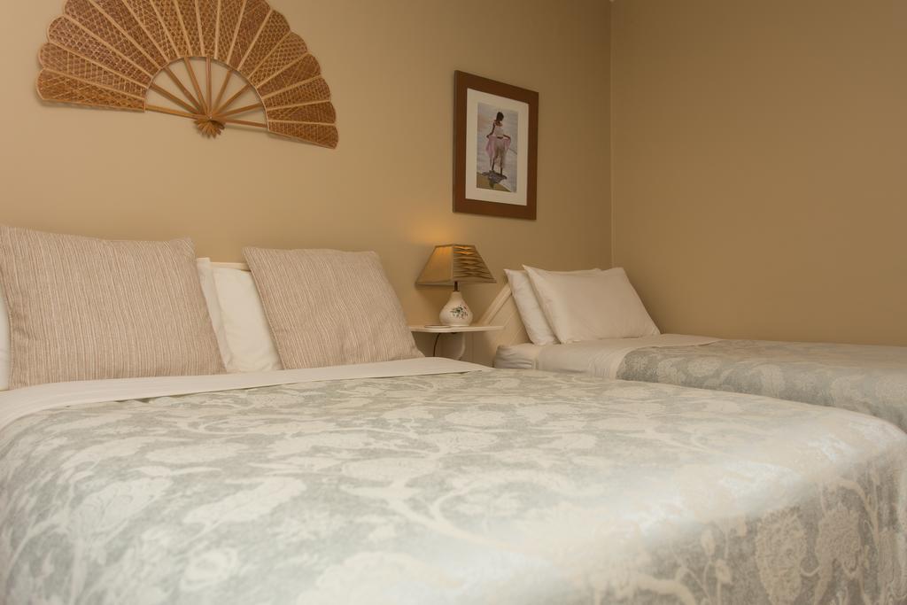 Fern Rock Bed And Breakfast Dromin Buitenkant foto