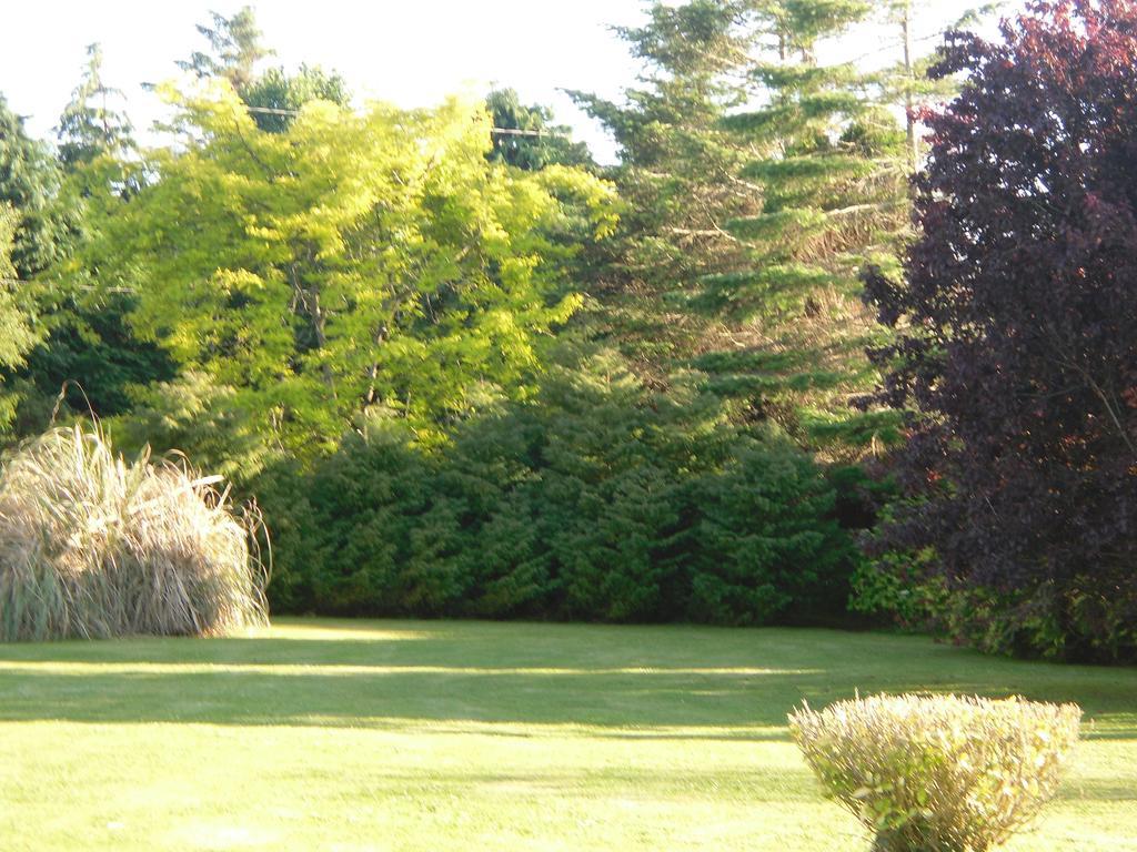Fern Rock Bed And Breakfast Dromin Buitenkant foto
